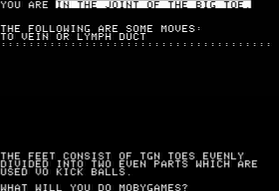 Adventures in Flesh screenshot 2 for Apple II