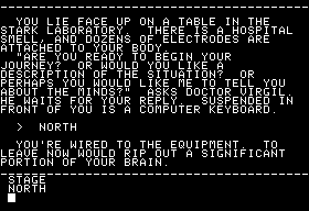 Mindwheel screenshot 3 for Apple II