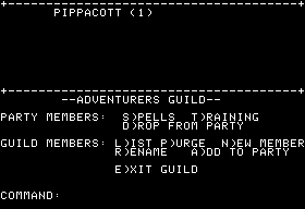 Phantasie II screenshot 3 for Apple II