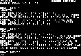 The Witness screenshot 3 for Apple II