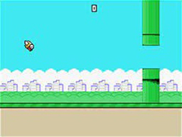 Flapee Byrd screenshot 3 for Colecovision