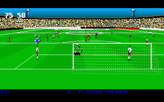 3D World Soccer screenshot 3 for Amiga