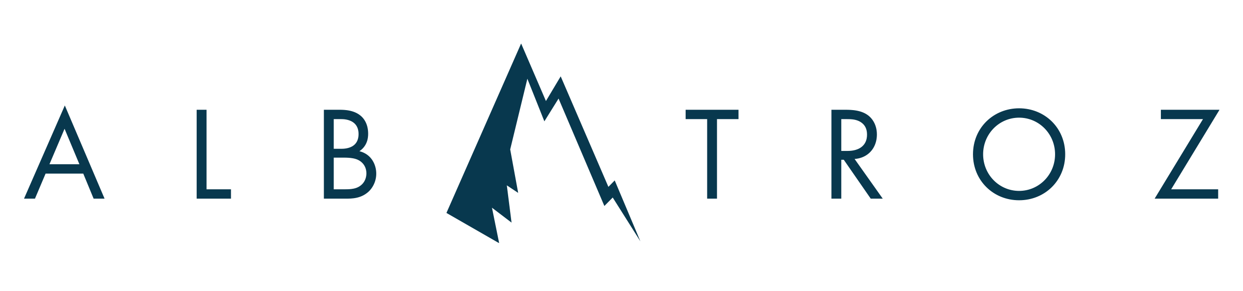 Albatroz logo for Xbox Series X