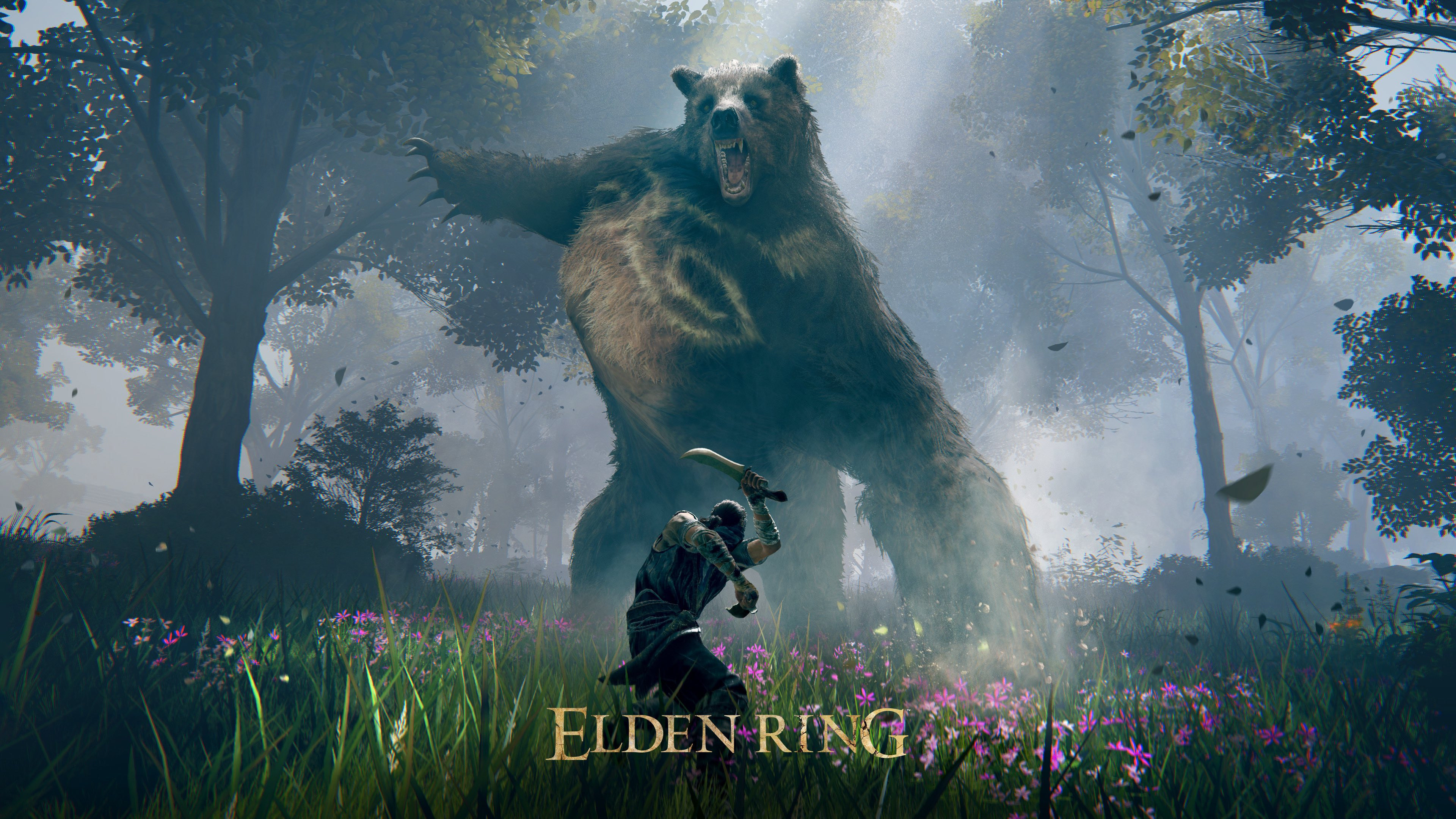Elden Ring screenshot 4 for Xbox Series X