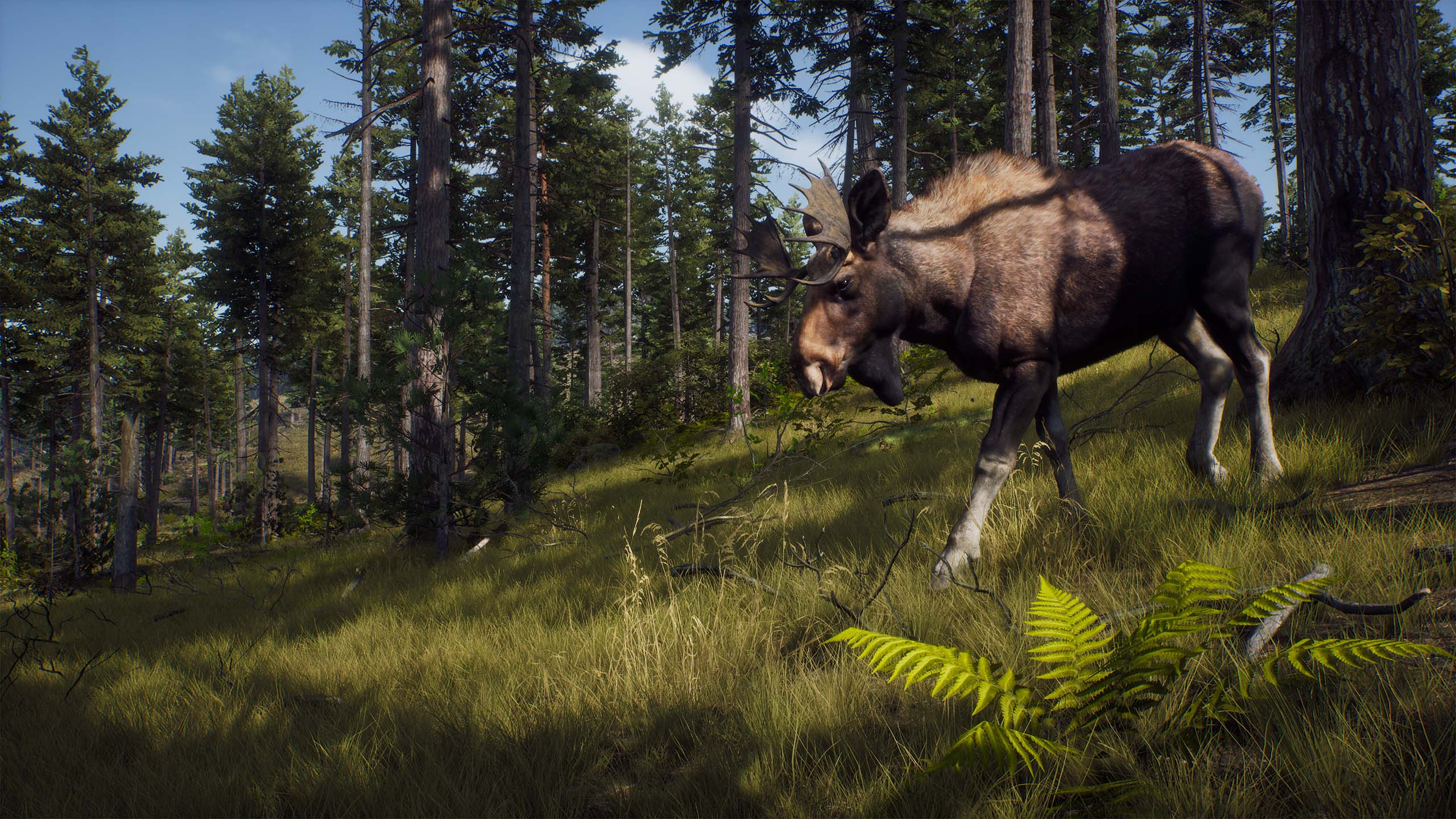 Way Of The Hunter screenshot 2 for Xbox Series X