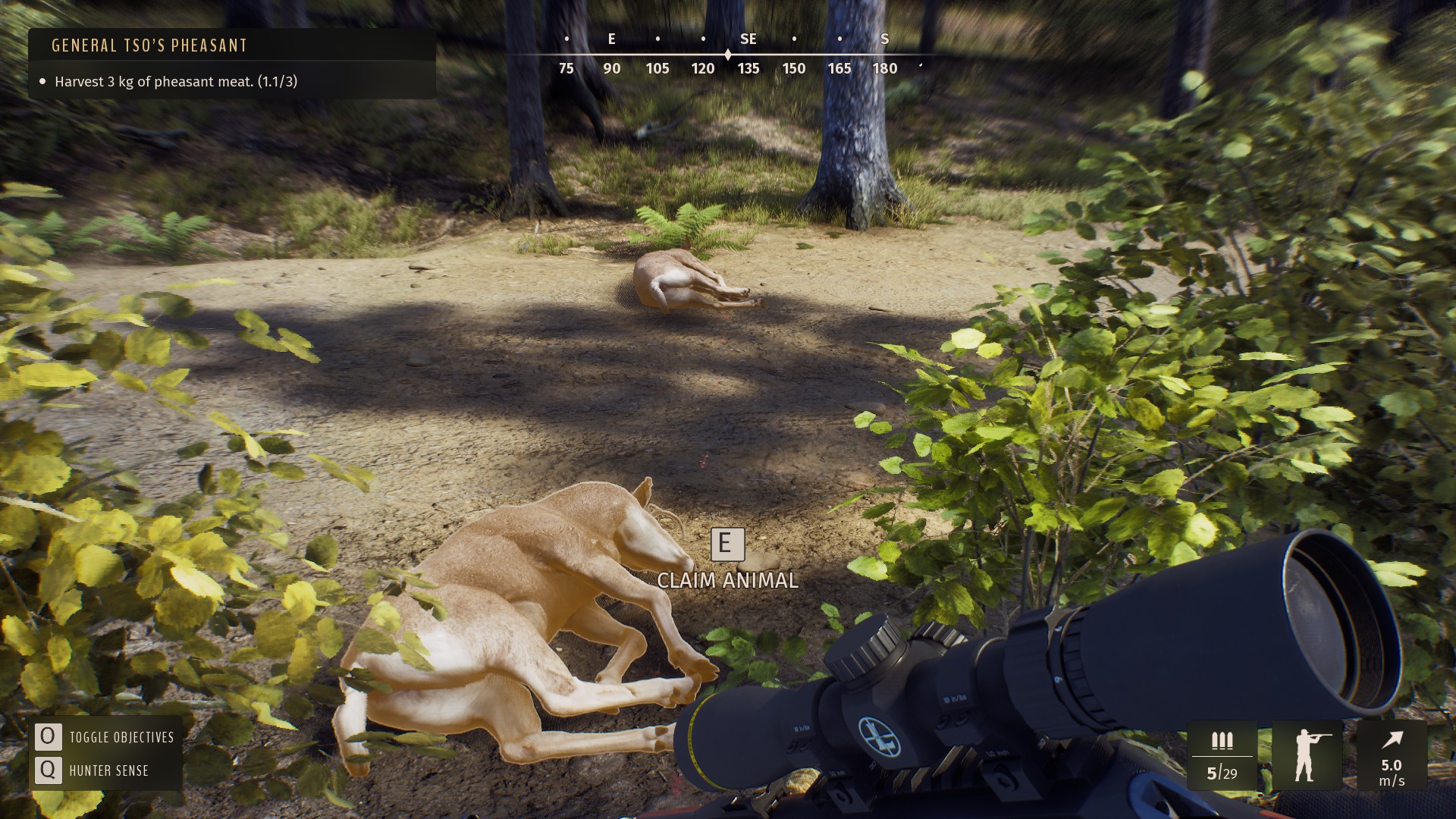 Way Of The Hunter screenshot 3 for Xbox Series X