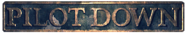 Pilot Down: Behind Enemy Lines logo for Xbox