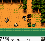 Survival Kids screenshot 3 for GameBoy Color