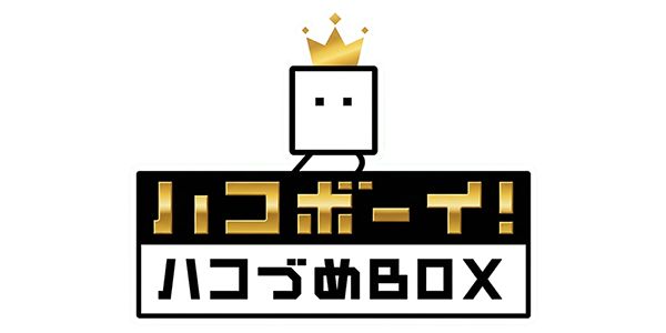 HakoBoy! Hakozume Box logo for Nintendo 3DS