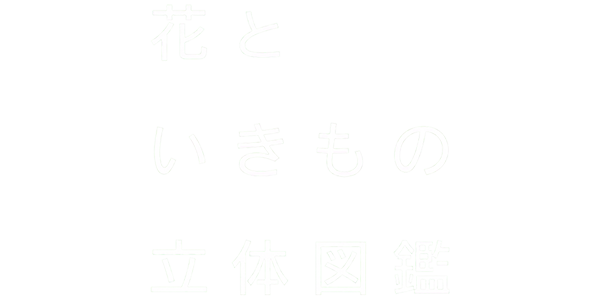 Hana to Ikimono Rittai Zukan logo for Nintendo 3DS