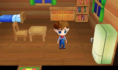 Harvest Moon 3D: The Lost Valley screenshot 3 for Nintendo 3DS