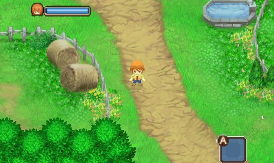 Harvest Moon: The Tale Of Two Towns screenshot 3 for Nintendo 3DS