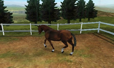 I Love My Horse screenshot 3 for Nintendo 3DS