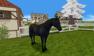 Life With Horses 3D screenshot 3 for Nintendo 3DS