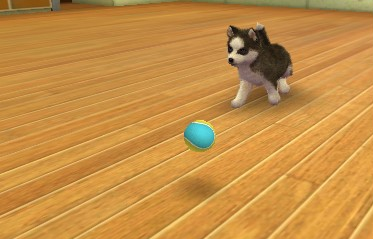 Nintendogs + Cats: French Bulldog & New Friends screenshot 3 for Nintendo 3DS