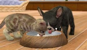 Nintendogs + Cats: Golden Retriever & New Friends screenshot 3 for Nintendo 3DS