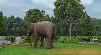 Zoo Resort 3D screenshot 3 for Nintendo 3DS