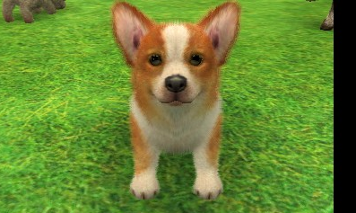 Nintendogs + Cats: Toy Poodle & New Friends title screen for Nintendo 3DS