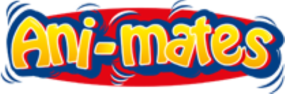 Animates logo for Nintendo DS