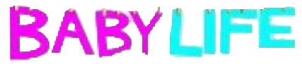 Baby Life logo for Nintendo DS