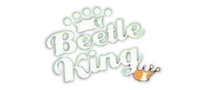 Beetle King logo for Nintendo DS