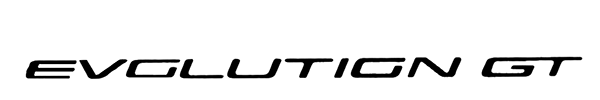 Corvette Evolution GT logo for Nintendo DS