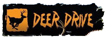 Deer Drive logo for Nintendo DS