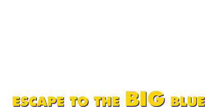 Finding Nemo Escape to the Big Blue logo for Nintendo DS
