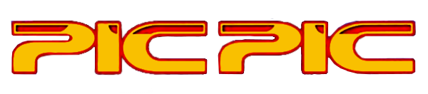 Pic Pic logo for Nintendo DS