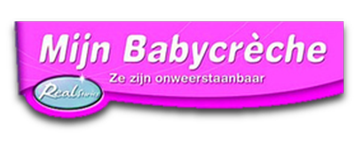 Real Stories Babies logo for Nintendo DS