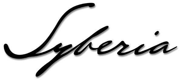 Syberia logo for Nintendo DS