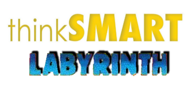 ThinkSmart: Labyrinth logo for Nintendo DS