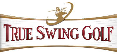 True Swing Golf logo for Nintendo DS