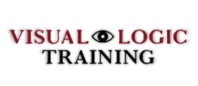 Visual Logic Training logo for Nintendo DS