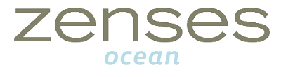 Zenses Ocean logo for Nintendo DS