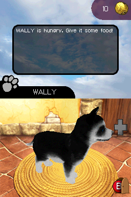 My Best Friends Cats & Dogs screenshot 3 for Nintendo DS