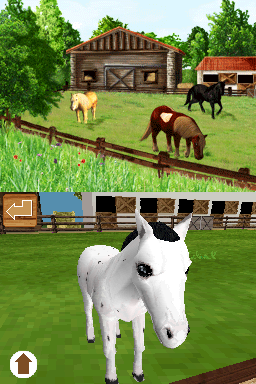 My Pet Pony screenshot 3 for Nintendo DS