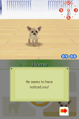 Nintendogs Chihuahua and Friends screenshot 3 for Nintendo DS