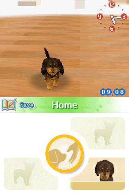 Nintendogs Dachshund and Friends screenshot 3 for Nintendo DS