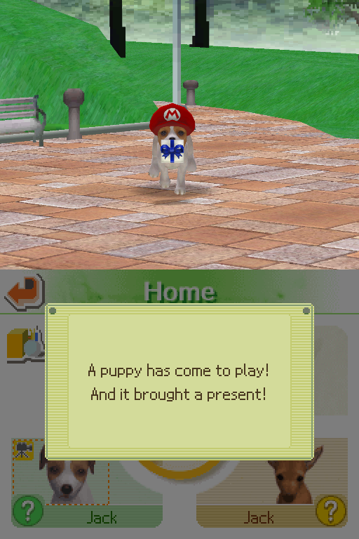 Nintendogs Jack Russell Relay Mode screenshot 1 for Nintendo DS