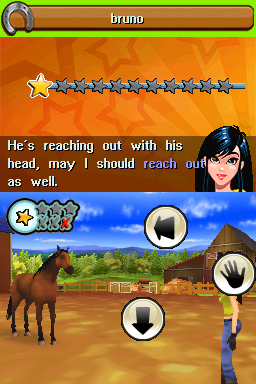 Petz Horsez Family screenshot 3 for Nintendo DS