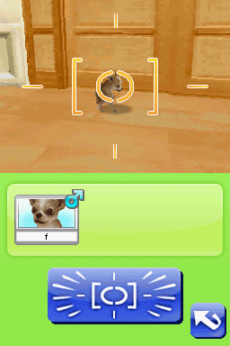 Petz: My Puppy Family screenshot 2 for Nintendo DS