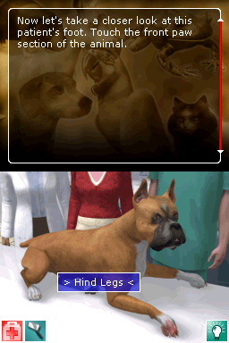 Real Adventures Pet Vet screenshot 3 for Nintendo DS