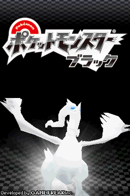 Pokemon Black title screen for Nintendo DS
