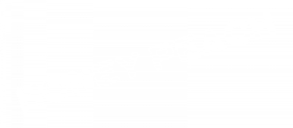 Honey Peach logo for NES
