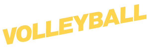 Volleyball [5 Screw] logo for NES