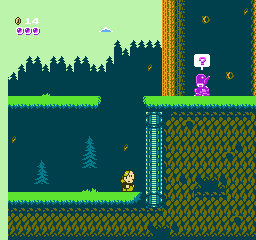 Basse Def Adventures screenshot 3 for NES