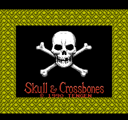 Skull and Crossbones title screen for NES