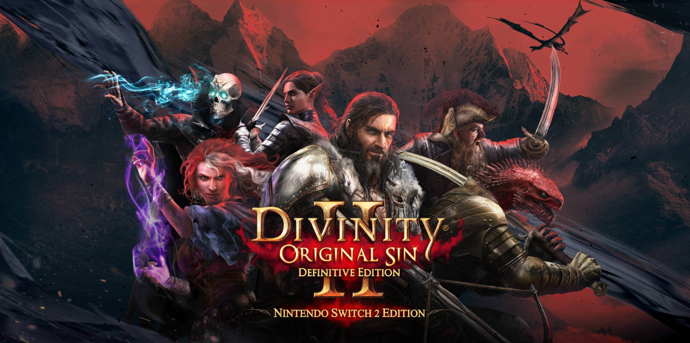 Divinity: Original Sin II: Definitive Edition box art for Nintendo Switch