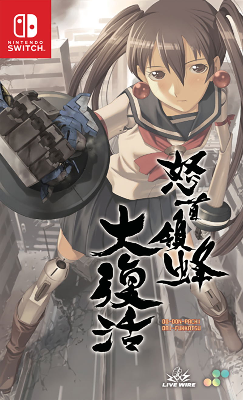 Dodonpachi Daifukkatsu box art for Nintendo Switch